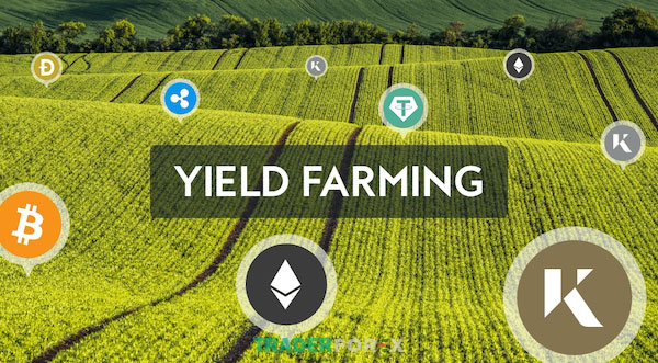APR và APY sẽ ảnh hưởng trực tiếp đến lợi nhuận mang về trong Yield Farming